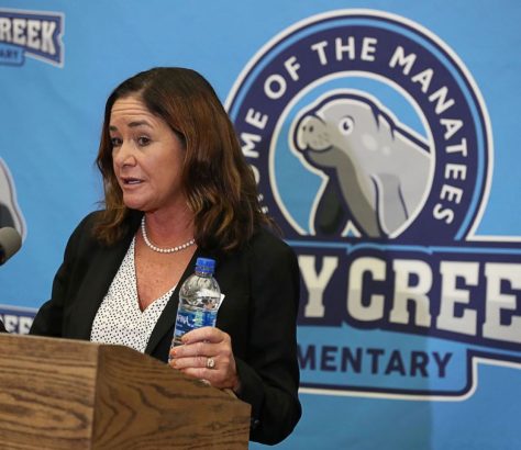 Osceola Schools Superintendent