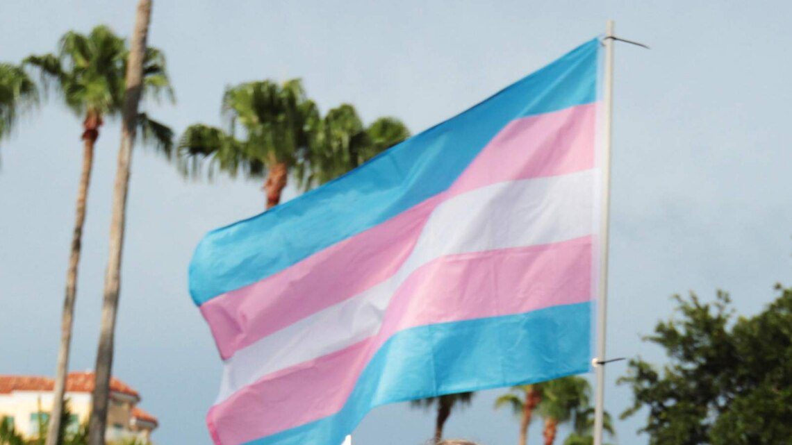 Transgender pride flag